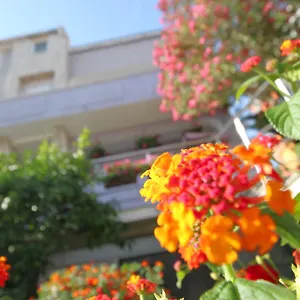 Pejić Apartament