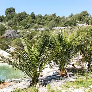 Tatinja Apartment Trogir